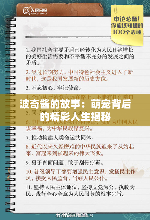波奇酱的故事：萌宠背后的精彩人生揭秘