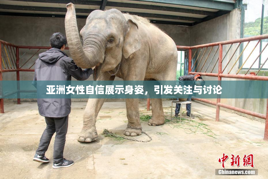 亚洲女性自信展示身姿，引发关注与讨论
