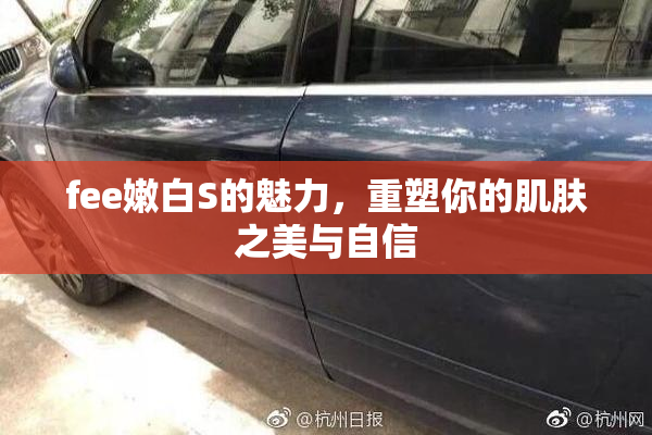 fee嫩白S的魅力，重塑你的肌肤之美与自信