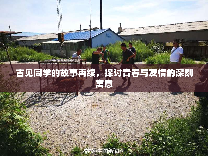 古见同学的故事再续，探讨青春与友情的深刻寓意