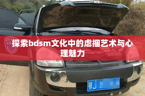 探索bdsm文化中的虐捆艺术与心理魅力