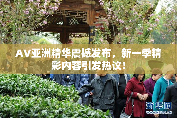 AV亚洲精华震撼发布，新一季精彩内容引发热议！