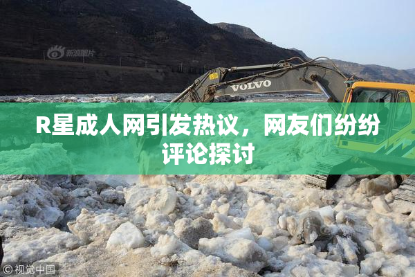 R星成人网引发热议，网友们纷纷评论探讨