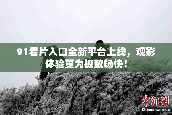 91看片入口全新平台上线，观影体验更为极致畅快！