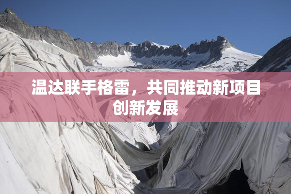 温达联手格雷，共同推动新项目创新发展