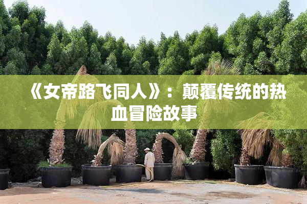 《女帝路飞同人》：颠覆传统的热血冒险故事