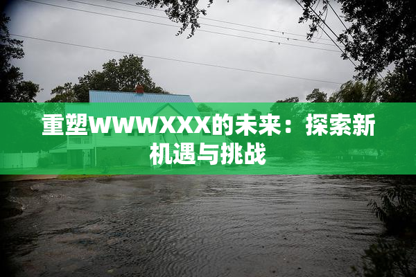 重塑WWWXXX的未来：探索新机遇与挑战