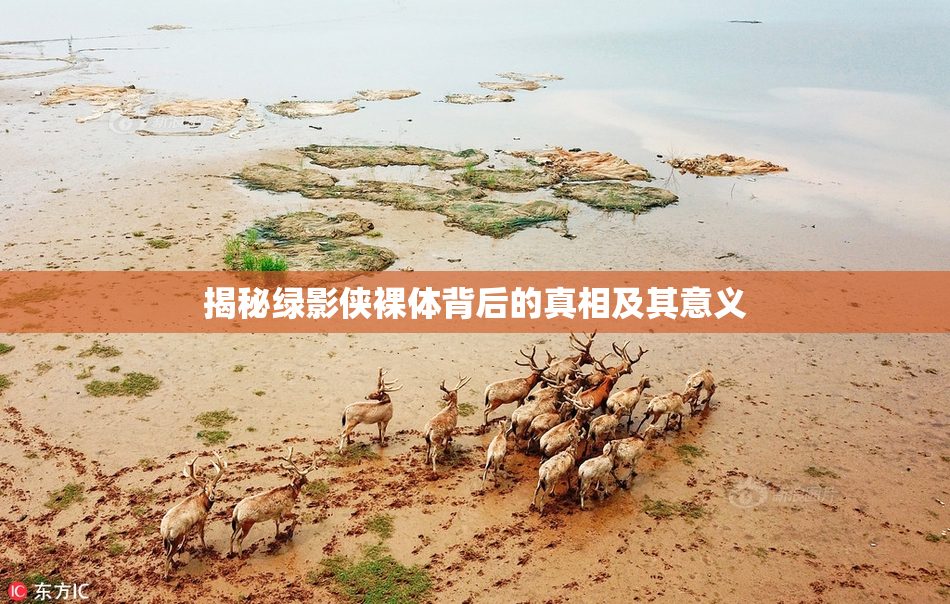 揭秘绿影侠裸体背后的真相及其意义