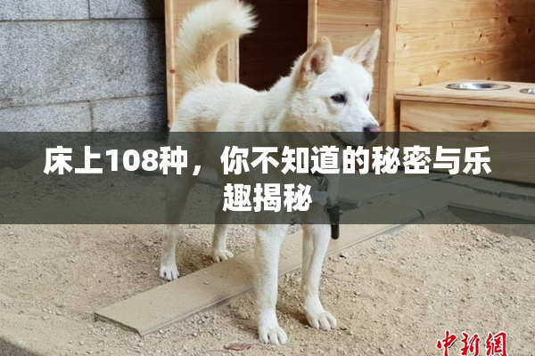 床上108种，你不知道的秘密与乐趣揭秘