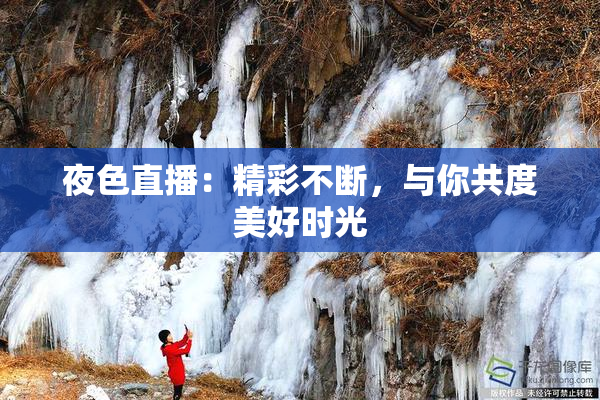 夜色直播：精彩不断，与你共度美好时光