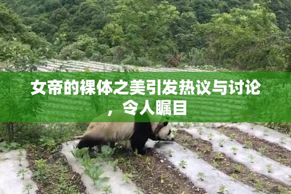 女帝的裸体之美引发热议与讨论，令人瞩目