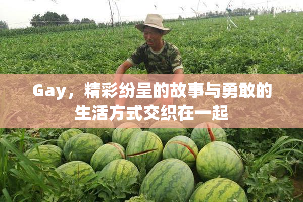 Gay，精彩纷呈的故事与勇敢的生活方式交织在一起