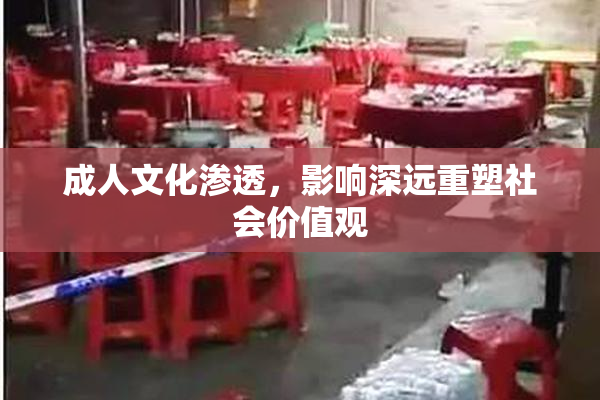 成人文化渗透，影响深远重塑社会价值观