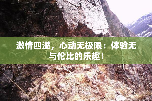 激情四溢，心动无极限：体验无与伦比的乐趣！