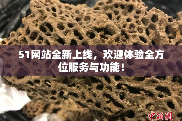 51网站全新上线，欢迎体验全方位服务与功能！