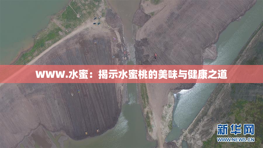 WWW.水蜜：揭示水蜜桃的美味与健康之道