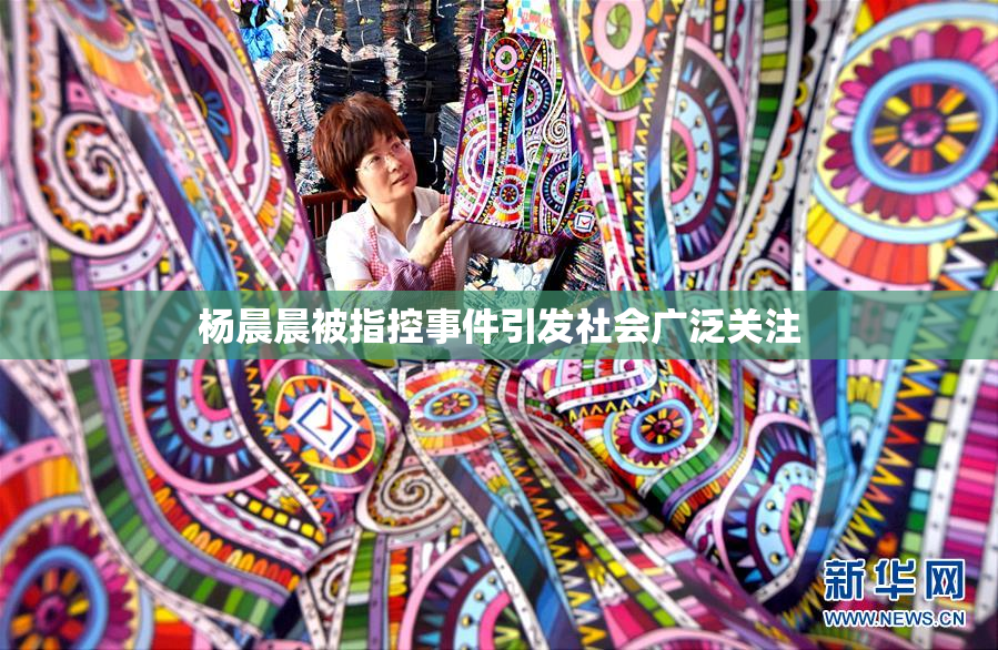 杨晨晨被指控事件引发社会广泛关注