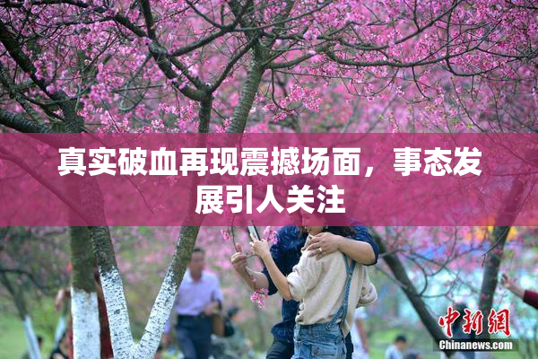 真实破血再现震撼场面，事态发展引人关注