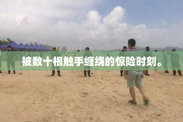 被数十根触手缠绕的惊险时刻。