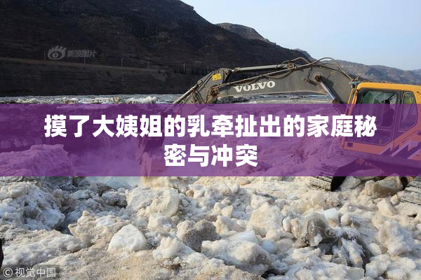 摸了大姨姐的乳牵扯出的家庭秘密与冲突