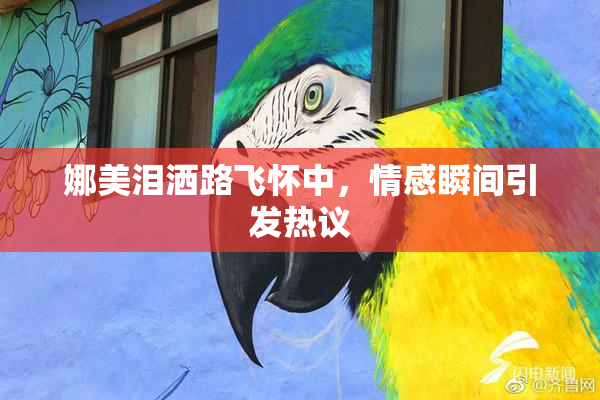 娜美泪洒路飞怀中，情感瞬间引发热议