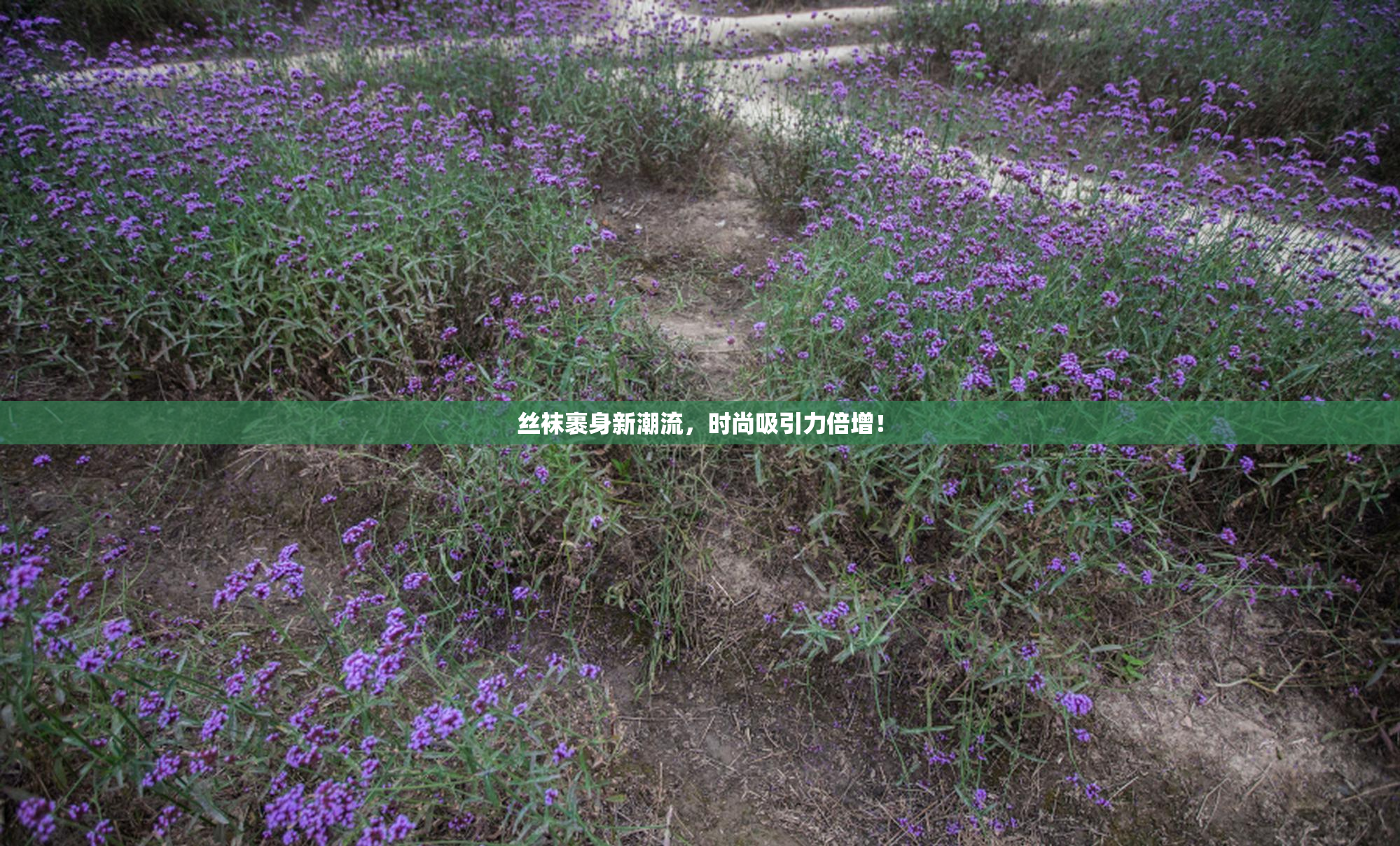 丝袜裹身新潮流，时尚吸引力倍增！