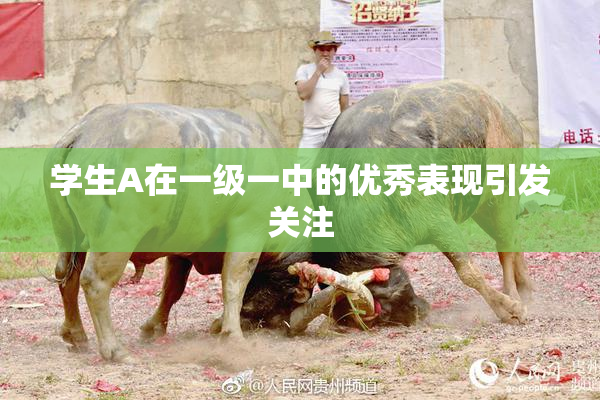学生A在一级一中的优秀表现引发关注