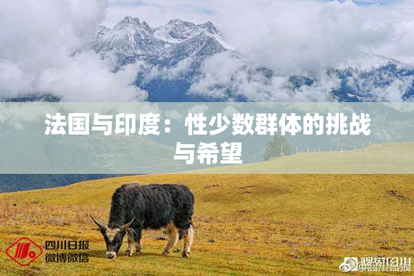 法国与印度：性少数群体的挑战与希望