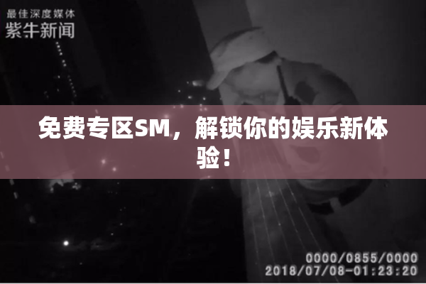 免费专区SM，解锁你的娱乐新体验！
