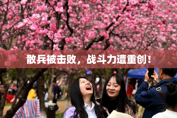 散兵被击败，战斗力遭重创！