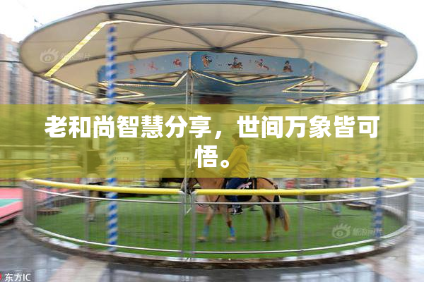 老和尚智慧分享，世间万象皆可悟。