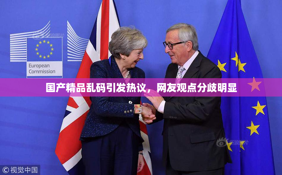 国产精品乱码引发热议，网友观点分歧明显