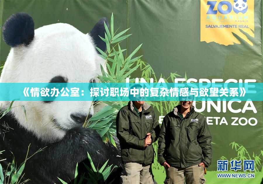 《情欲办公室：探讨职场中的复杂情感与欲望关系》
