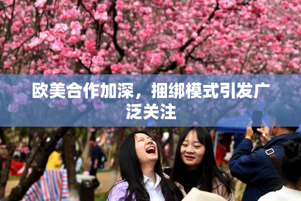 欧美合作加深，捆绑模式引发广泛关注