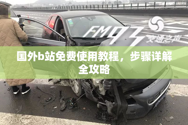 国外b站免费使用教程，步骤详解全攻略