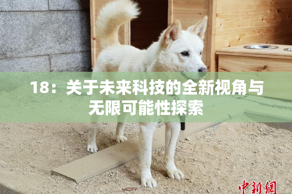 18：关于未来科技的全新视角与无限可能性探索
