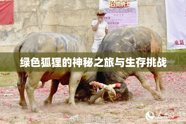 绿色狐狸的神秘之旅与生存挑战