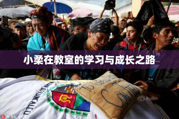 小柔在教室的学习与成长之路