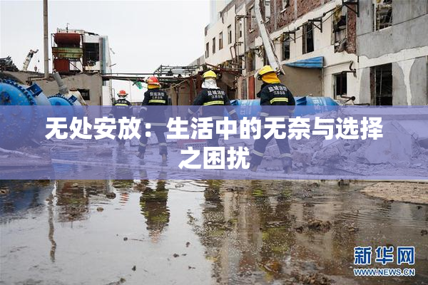 无处安放：生活中的无奈与选择之困扰