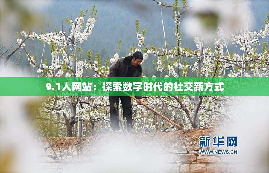 9.1人网站：探索数字时代的社交新方式