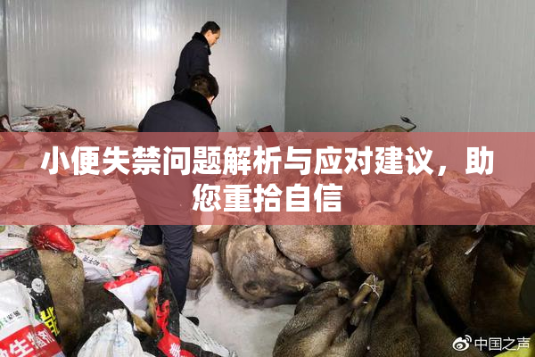 小便失禁问题解析与应对建议，助您重拾自信