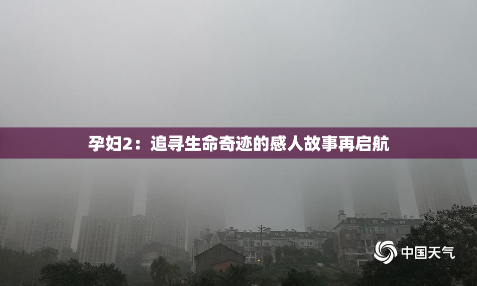 孕妇2：追寻生命奇迹的感人故事再启航