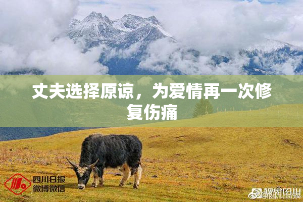 丈夫选择原谅，为爱情再一次修复伤痛