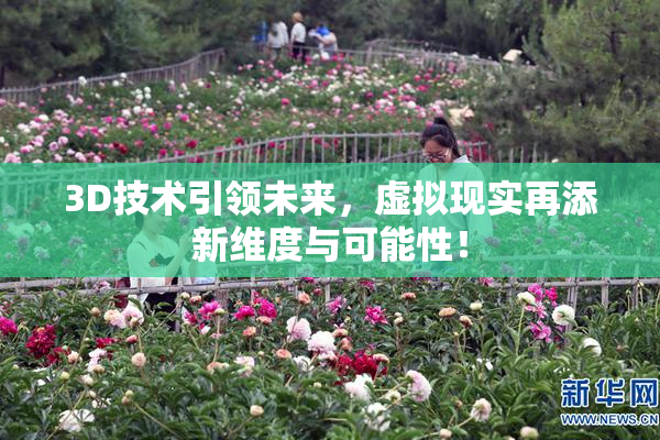 3D技术引领未来，虚拟现实再添新维度与可能性！