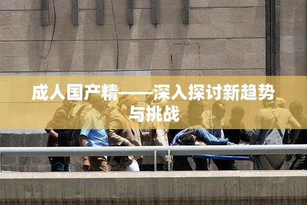 成人国产精——深入探讨新趋势与挑战