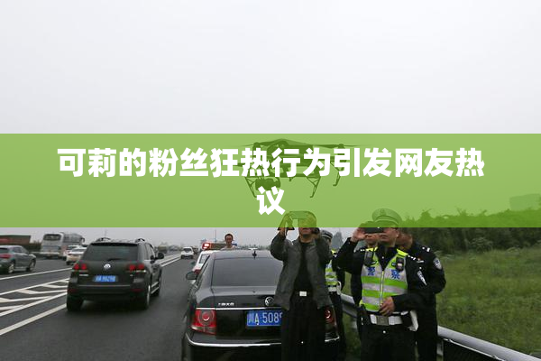 可莉的粉丝狂热行为引发网友热议