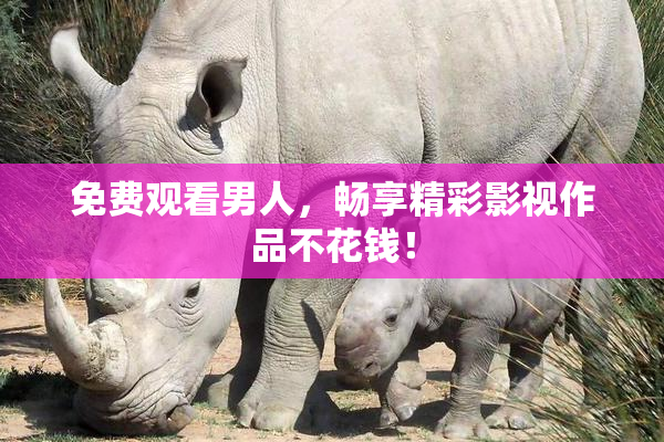 免费观看男人，畅享精彩影视作品不花钱！