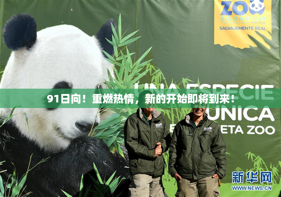 91日向！重燃热情，新的开始即将到来！