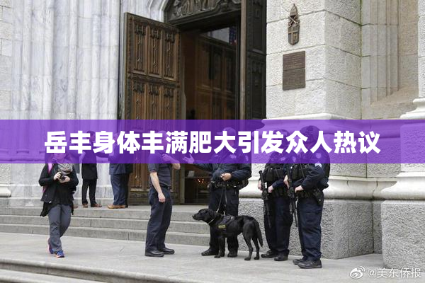 岳丰身体丰满肥大引发众人热议