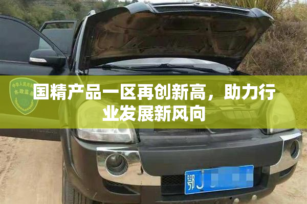 国精产品一区再创新高，助力行业发展新风向